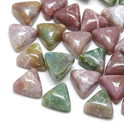 Indian Agate Natural Indian Agate Cabochons, Triangle, 9.5~10x10x5.5mm