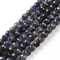 Iolite Natural Iolite Beads Strands, Faceted, Grade AB+, Round, 6mm, Hole: 0.8mm, about 66pcs/strand, 15.20''(38.6cm)