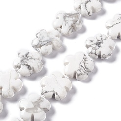 Howlite Chapelets de perles howlite naturelles , Flower 5 pétales, 20x6.5mm, Trou: 1.2mm, Environ 20 pcs/chapelet, 16.34'' (41.5 cm)