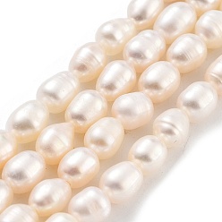 PeachPuff Natural Cultured Freshwater Pearl Beads Strands, Grade 4A, Oval, PeachPuff, 3.8~4.2mm, Hole: 0.6mm, about 30~31pcs/strand, 7.09''(18cm)