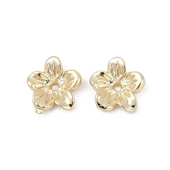 Настоящее золото 14K Spacer бисер латунные, цветок, реальный 14 k позолоченный, 7.5x7x2 мм, отверстие : 0.9 мм