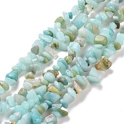 Amazonite Natural Amazonite Chips Beads Strands, 5~8x5~8mm, Hole: 1mm, about 31.5 inch