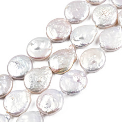 Linen Flat Round Natural Baroque Pearl Keshi Pearl Beads Strands, Cultured Freshwater Pearl, Linen, 17~19x3~8mm, Hole: 0.8mm, about 20pcs/strand, 14.9 inch