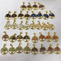 Mixed Stone 36Pcs 9 Styles Natural Mixed Gemstone Chip European Dangle Charms, Golden Tone Alloy Tree of Life Large Hole Pendant, 39mm, Charm: 29mm, 4pcs/style