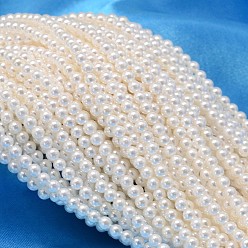 White Round Shell Pearl Bead Strands, White, 3mm, Hole: 0.5mm, about 122pcs/strand, 15.74 inch