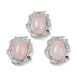 Розовый Кварц Овальные многорядные звенья из натурального розового кварца, в форме ракушки с латунными звеньями в форме морской звезды, платина, стойки покрытие, 26.5x23.5x11 мм, отверстие : 2 мм