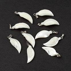 Seashell Color Natural Trochid Shell/Trochus Shell Pendants, Feather Charms, with Platinum Tone Iron Snap on Bails, Seashell Color, 27~29x10.5x5mm, Hole: 5x1.8mm