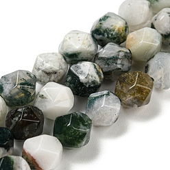Tree Agate Natural Tree Agate Beads Strands, Faceted, Polygon, 7.5~8.5x7.5~8x7.5~8mm, Hole: 1.4mm, about 44~49pcs/strand, 14.25~14.96 inch(36.2~38cm)