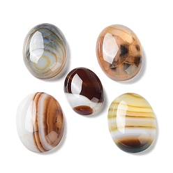 Coconut Brown Natural Striped Agate/Banded Agate Cabochons, Dyed & Heated, Oval, Coconut Brown, 24.5~25x18x6.5~7mm