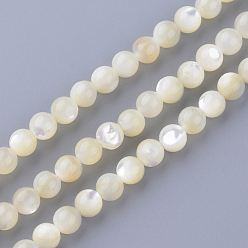 Cornsilk Natural Sea Shell Beads Strands, Round, 4~4.5mm, Hole: 1mm, about 86pcs/strand, 15.7 inch
