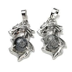 Снежный Обсидиан Естественно снежинка обсидиана подвески, Подвески-драконы со стойкой, латунная фурнитура, платина, без кадмия и без свинца, 31x18x8~10 мм, отверстие : 5x8 мм