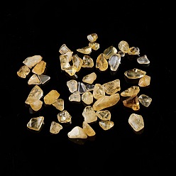 Citrine Natural Citrine Chip Beads, No Hole/Undrilled, 5~10.5x5~7x2~4mm
