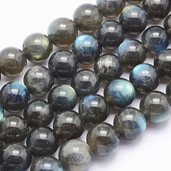 Labradorite Natural Labradorite Beads Strands, Round, 9.5~10mm, Hole: 1mm, about 44pcs/strand, 15.5 inch(39.5cm)