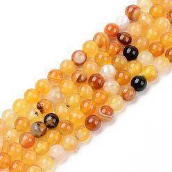 Gold Natural Sardonyx Beads Strands, Dyed & Heated, Round, Gold, 6mm, Hole: 1mm, about 63~65pcs/strand, 14.76 inch(37.5cm)