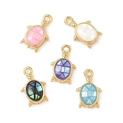 Настоящее золото 18K Подвески из латуни и ракушек с покрытием стойки, черепаховые чары, с эмалью, долговечный, без кадмия и без свинца, реальный 18 k позолоченный, 12x7x3.5 мм, отверстие : 1.1 мм