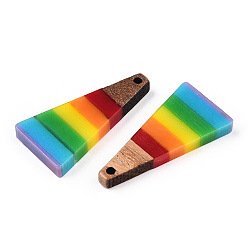 Triangle Opaque Resin & Walnut Pendants, Rainbow Color Charms, Colorful, Triangle, 28.5x14x3.5mm, Hole: 1.6mm