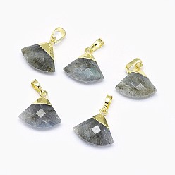 Labradorite Natural Labradorite Pendants, with Long-Lasting Plated Brass Findings, Faceted, Triangle, Golden, 14~15x15~16x5mm, Hole: 3.5x5.5mm