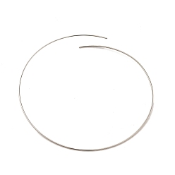 Real Platinum Plated Brass Wire, Round, Real Platinum Plated, 22 Gauge, 0.6mm, about 0.66 Foot(0.2m)/pc