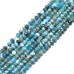 Апатит Природного апатита нитей бисера, граненые, рондель, 4x3 мм, отверстие : 0.8 мм, около 130 шт / нитка, 15.35 дюйм (39 см)