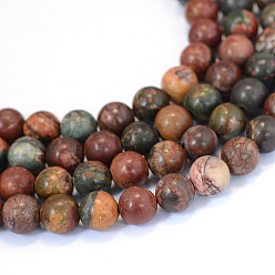 Picasso Jasper Natural Picasso Stone/Picasso Jasper Beads Strands, Round, 10~10.5mm, Hole: 1.2mm, about 36pcs/strand, 15.5 inch