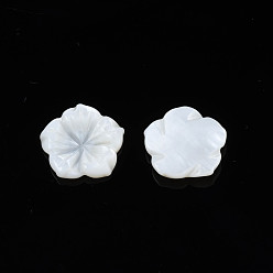Seashell Color Natural Freshwater Shell Cabochons, Flower, Seashell Color, 13~14.5x13~14.5x2~2.5mm