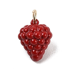 Other Fruits Латунь эмаль подвески, фруктовые прелести, золотые, малина, 16.5x13 мм, отверстие : 4 мм