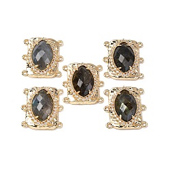 Лабрадорита Латунные многорядные звенья из микрофибры с натуральным лабрадоритом, овальные, граненые, стойки покрытие, 22x20x6~7 мм, отверстие : 1.2 мм