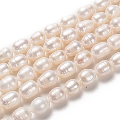 Bisque Natural Cultured Freshwater Pearl Beads Strands, Rice, Bisque, 9~12x8~9mm, Hole: 0.8mm, about 35pcs/strand, 14.76 inch(37.5cm)