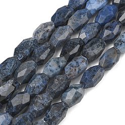 дюмортьерит Натуральные нити из бисера, граненые и овальные, 13.5~14x8~9x8~9 мм, отверстие : 1.4 мм, около 26 шт / нитка, 14.57'' (37 см)