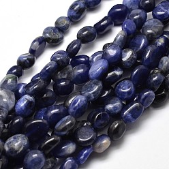 Sodalite Natural Sodalite Nuggets Beads Strands, Tumbled Stone, 5~10x6~7x3~7mm, hole: 1mm, about 14.9 inch~15.7 inch