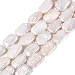 Seashell Color Natural Baroque Pearl Keshi Pearl Beads Strands, Cultured Freshwater Pearl, Rectangle, Seashell Color, 15.5~24x11~16x3~12mm, Hole: 0.6mm, about 18~22pcs/strand, 14.96~15.75 inch(38~40cm)