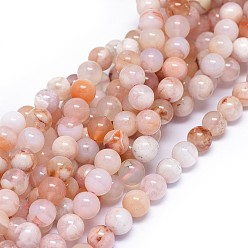 Cherry Blossom Agate Natural Cherry Blossom Agate Beads Strands, Round, 8mm, Hole: 0.8mm, about 48pcs/strand, 15.3 inch(39cm)