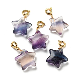 Golden Carved Natural Fluorite Pendants, with Brass Spring Ring Clasps, Long-Lasting Plated, Star, Golden, 27mm, Pendant: 19.5~23x14.5~18x8mm