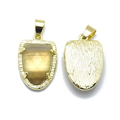 Botswana Agate Natural Botswana Agate Pendants, with Brass Findings,  Faceted, Golden, 22.5x14.5x5mm, Hole: 4x5.5mm