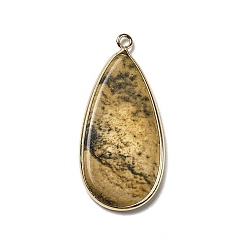 Jaspe Image Image Naturel jaspe pendentifs, charmes de larme, avec des conclusions de laiton doré clair, 45x21~21.5x3~3.5mm, Trou: 2mm