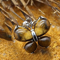 Tiger Eye Natural Tiger Eye Pendants, Butterfly Charms with Metal Snap on Bails, 24x30mm