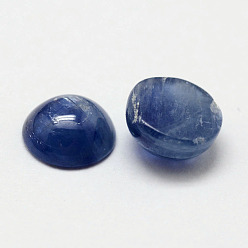 Other Quartz Dome Natural Kyanite/Cyanite/Disthene Cabochons, 4x2.5mm