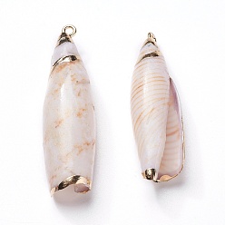 Shell Shell Pendants, with Iron Findings, Spiral Shell, Light Gold, 36~49x11~14x8.5~12mm, Hole: 1.8mm