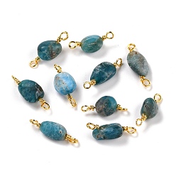 Апатит Соединители звеньев из натурального апатита, с золотой медной проволокой, без кадмия и без свинца, чип, 13~19x3.5~8 мм, отверстие : 1.5 мм