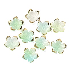 Аквамарин Непрозрачные акриловые колпачки шарик, цветок, с золотым краем, аквамарин, 22.5~23x23.5~24x5 мм, отверстие : 1.4 мм, Около 1020 шт / 500 г