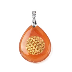 Красный Агат Подвески из натурального сердолика (окрашенные и нагретые), с реечной обшивкой латунными выводами, без кадмия и без свинца, очарование слезы, 31x25x5~7 мм, отверстие : 4.5x4 мм