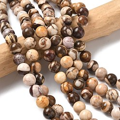 Натуральный Агат Естественно австралийский агат круглый шарик нити, 8~9 мм, отверстие : 1 мм, около 24 шт / нитка, 7.5 дюйм