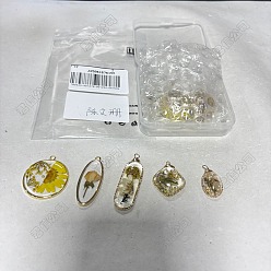 Желтый 10шт 5 стили подвески из эпоксидной смолы, разнообразные, с использованием сплава и сушеных цветов., желтые, 25~43.5x13.5~29.5x2.8~7.5 мм, отверстие : 2~2.8 мм, 2 шт / стиль