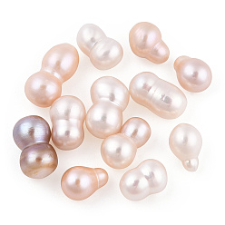 Seashell Color Natural Cultured Freshwater Pearl, No Hole/Undrilled, Seashell Color, 11.5~17.5x7.5~9.5mm