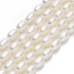 Льняное Полотно Нити из натурального культивированного пресноводного жемчуга, рис, белье, 5.5~8x3.5~4 мм, отверстие : 0.6 мм, около 62~66 шт / нитка, 15.16''~15.35" (38.5~39 см)