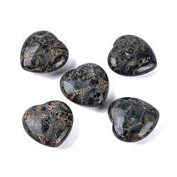 Kambaba Jasper Natural Kambaba Jasper Healing Stones, Heart Love Stones, Pocket Palm Stones for Reiki Ealancing, 30x30x11.5~12.5mm
