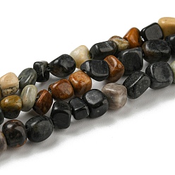 Picasso Jasper Natural Picasso Stone/Picasso Jasper Bead Strands, Tumbled Stone, Nuggets, 3~7.5x4.5~6x3~6mm, Hole: 1mm, about 61~66pcs/strand, 15.16''~15.35''(38.5~39cm)