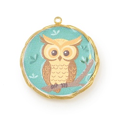 Темно-бирюзовый Печатные 304 подвески из нержавеющей стали, плоские круглые с совой, вакуумное покрытие pvd, реальный 18 k позолоченный, темные бирюзовый, 25.5x23.5x3 мм, отверстие : 1.5 мм