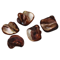 Coconut Brown Natural Freshwater Shell Beads, Dyed, Coconut Brown, Size: about 10~20mm long, 12~18mm wide, 5~9mm thick, hole: 1mm, about 320pcs/500g
