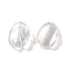 Seashell Color Natural White Shell Charms, Flower Petal, Seashell Color, 13.7~14x12~12.5x1.5~2mm, Hole: 1mm